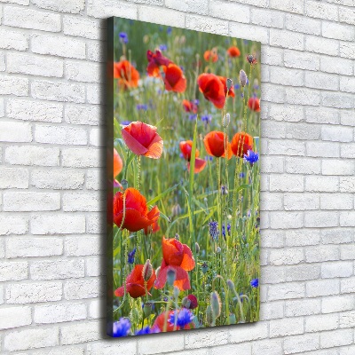 Print pe canvas wildflowers maci