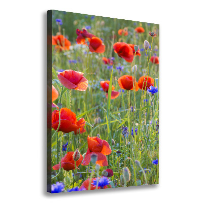 Print pe canvas wildflowers maci