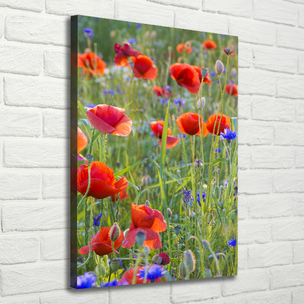 Print pe canvas wildflowers maci