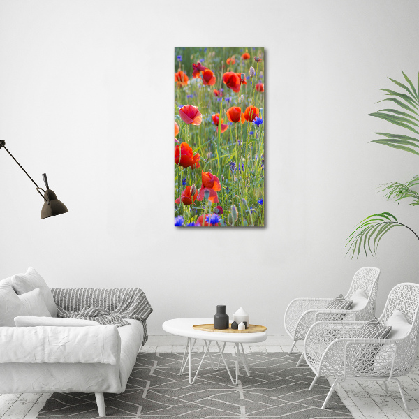 Print pe canvas wildflowers maci