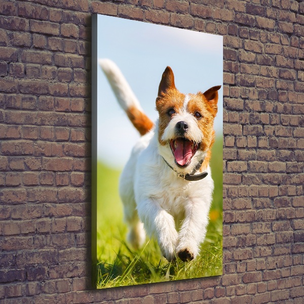 Tablouri tipărite pe pânză câine Jack Russell