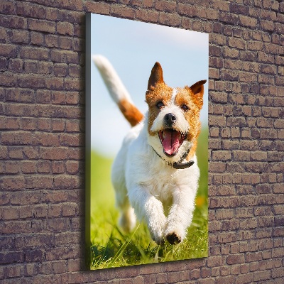 Tablouri tipărite pe pânză câine Jack Russell