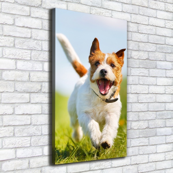 Tablouri tipărite pe pânză câine Jack Russell