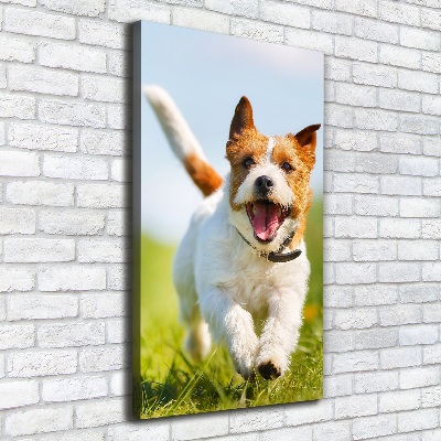 Tablouri tipărite pe pânză câine Jack Russell