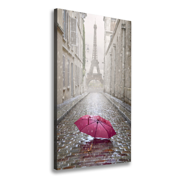 Pictură pe pânză umbrelă Franța