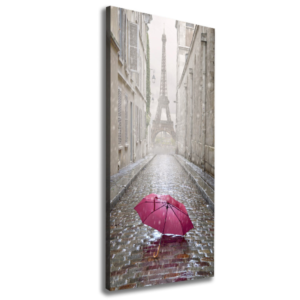 Pictură pe pânză umbrelă Franța