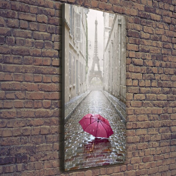 Pictură pe pânză umbrelă Franța