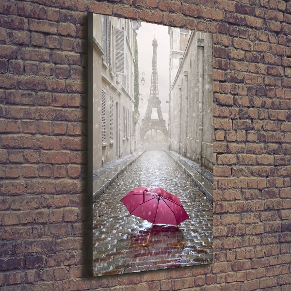 Pictură pe pânză umbrelă Franța