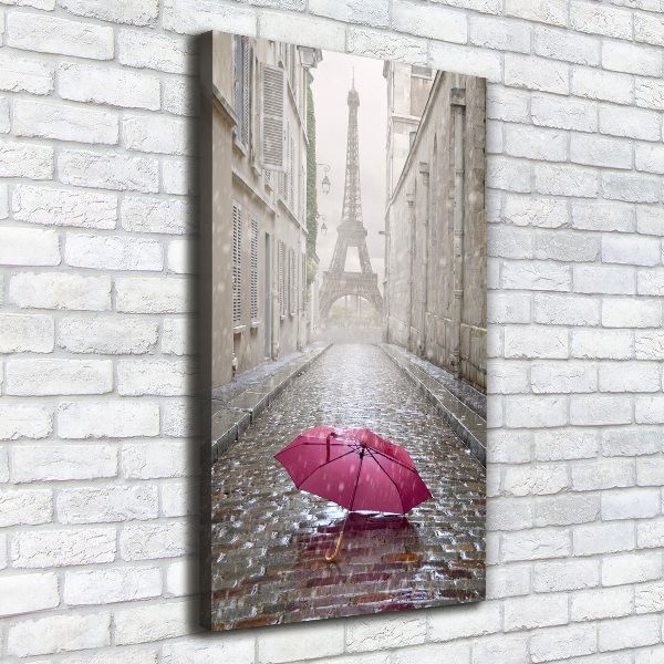 Pictură pe pânză umbrelă Franța