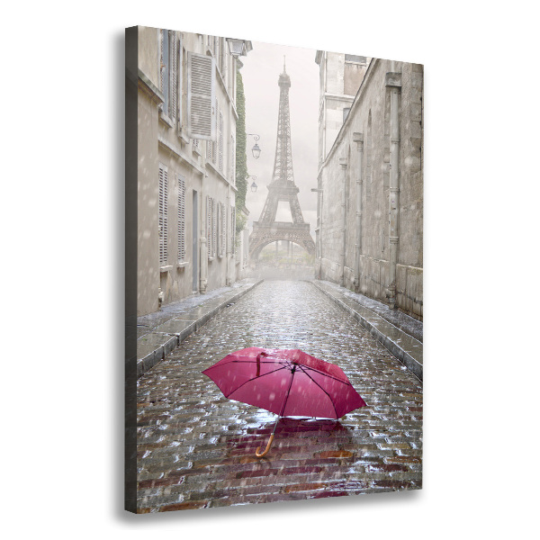 Pictură pe pânză umbrelă Franța