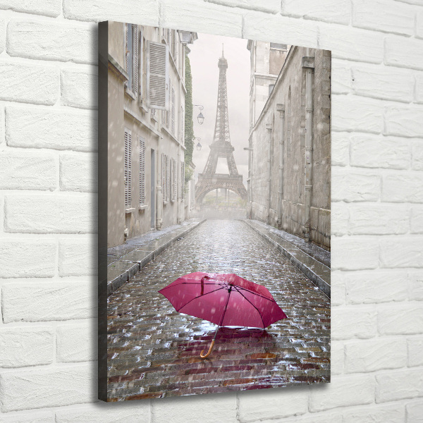 Pictură pe pânză umbrelă Franța