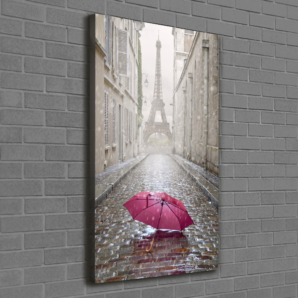 Pictură pe pânză umbrelă Franța