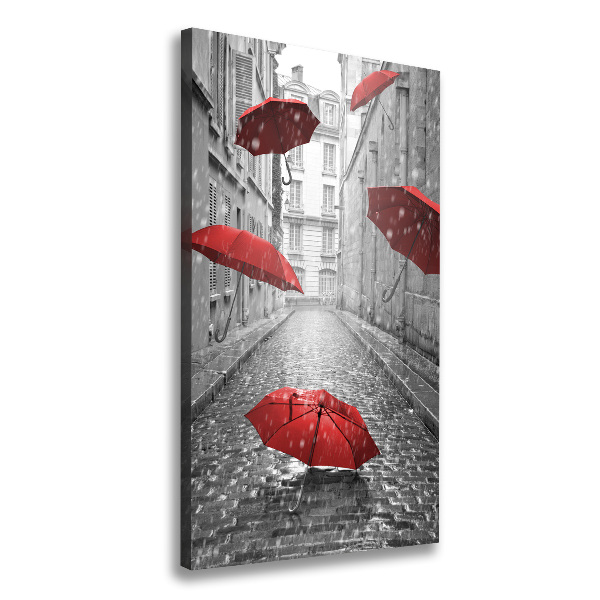Pictură pe pânză umbrelă Franța