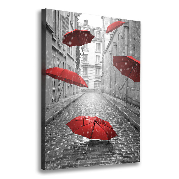 Pictură pe pânză umbrelă Franța