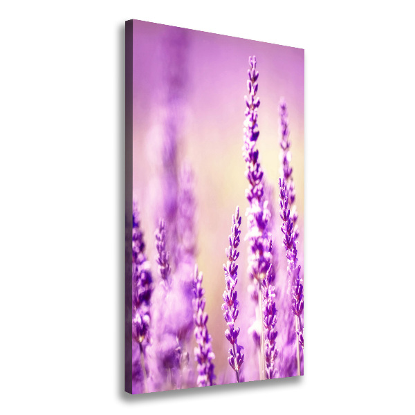 Tablou pe pânză canvas Lavandă