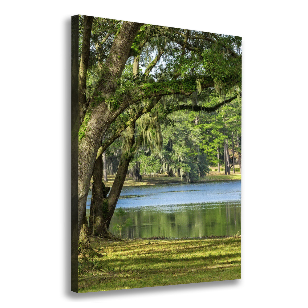 Imprimare tablou canvas Lacul în parc