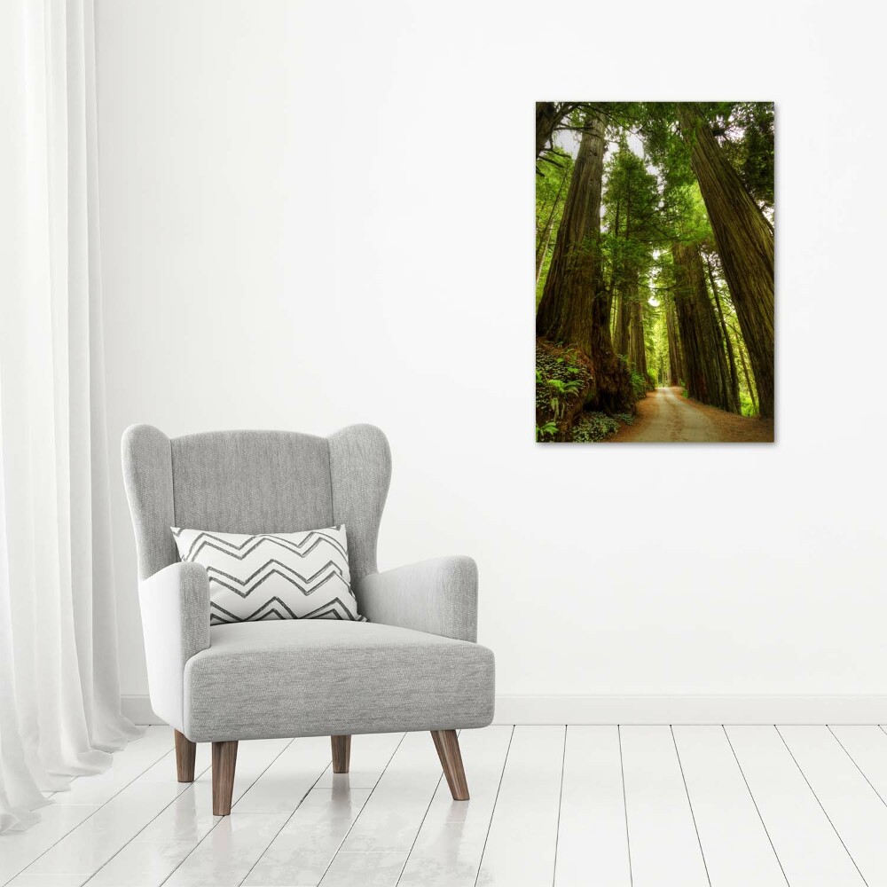 Imprimare tablou canvas Calea în pădure