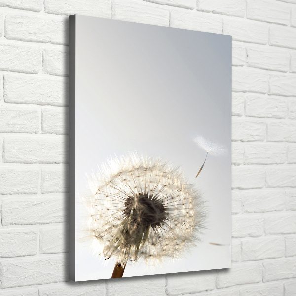 Tablou canvas Păpădie