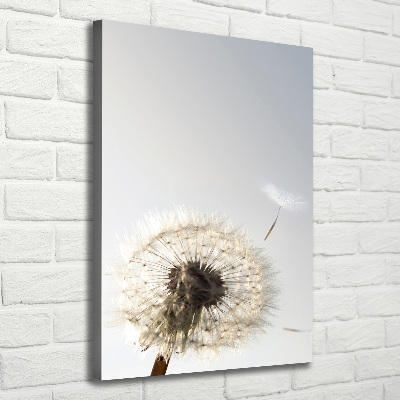 Tablou canvas Păpădie