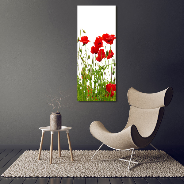 Tablou pe pânză canvas wildflowers maci