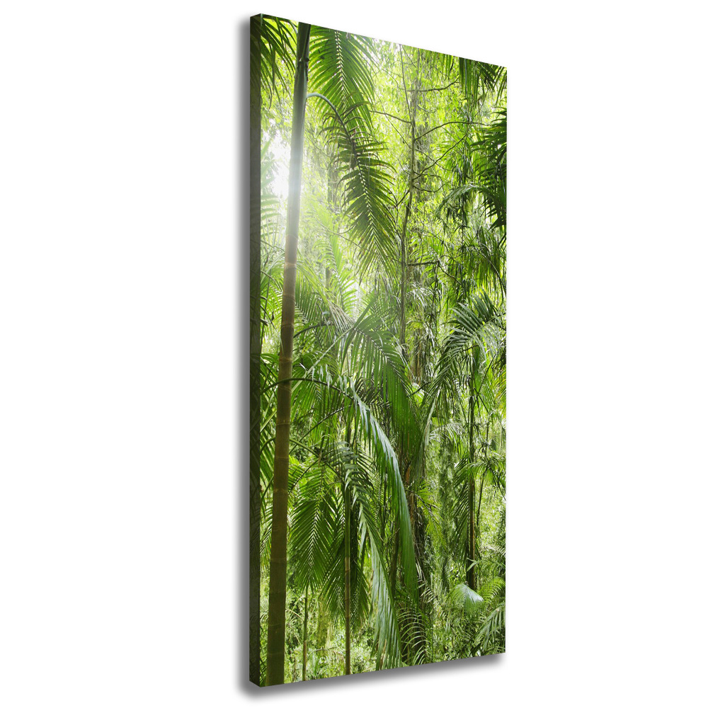 Imprimare tablou canvas pădurea tropicală