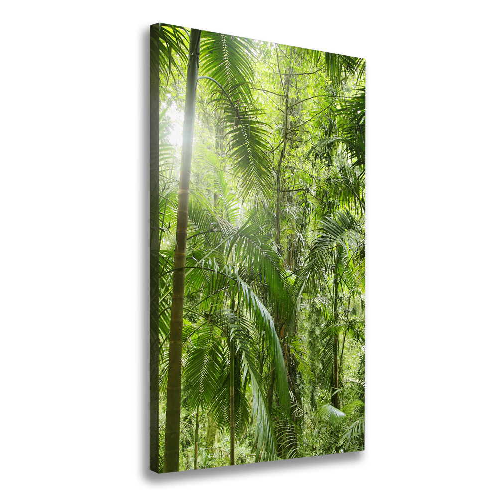 Imprimare tablou canvas pădurea tropicală