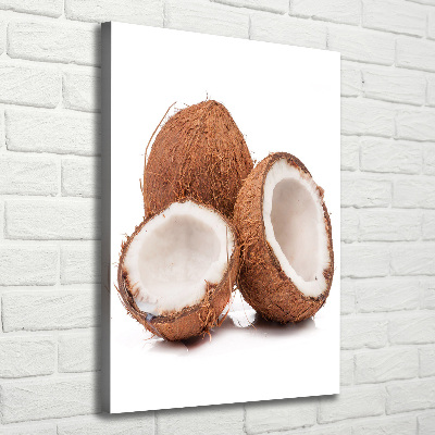 Print pe canvas nucă de cocos