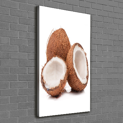 Print pe canvas nucă de cocos