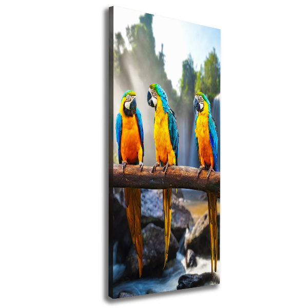 Print pe canvas papagali Macaws