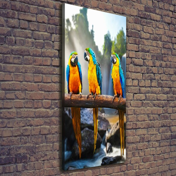 Print pe canvas papagali Macaws