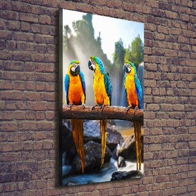 Print pe canvas papagali Macaws