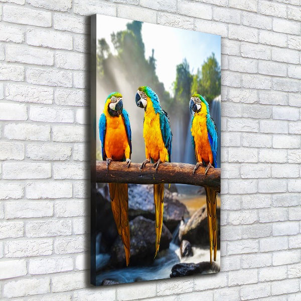 Print pe canvas papagali Macaws