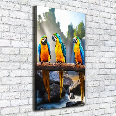 Print pe canvas papagali Macaws