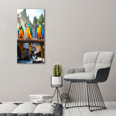 Print pe canvas papagali Macaws