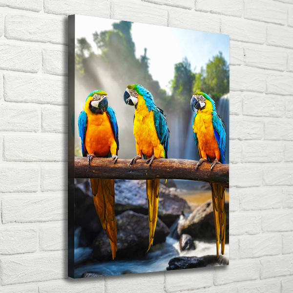 Print pe canvas papagali Macaws