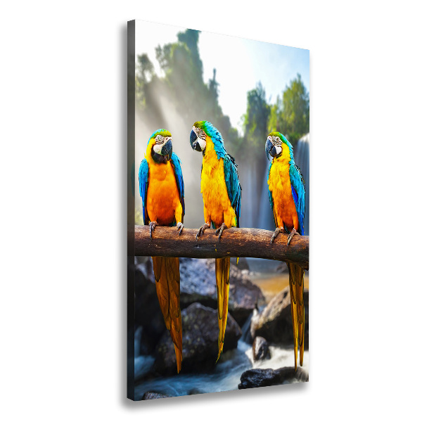 Print pe canvas papagali Macaws