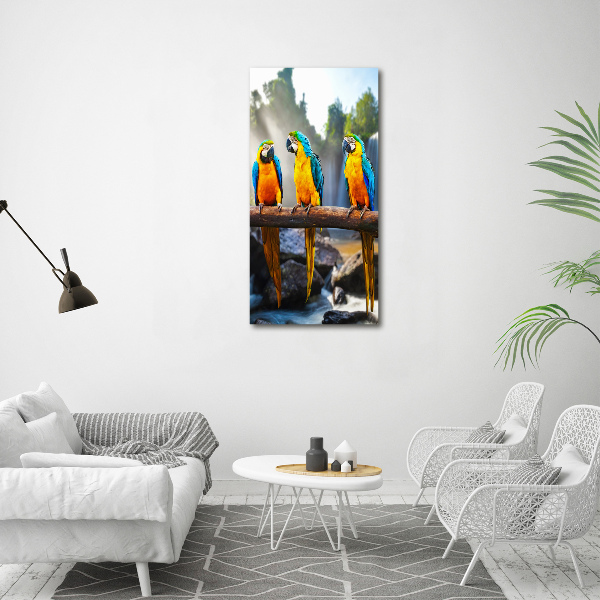 Print pe canvas papagali Macaws