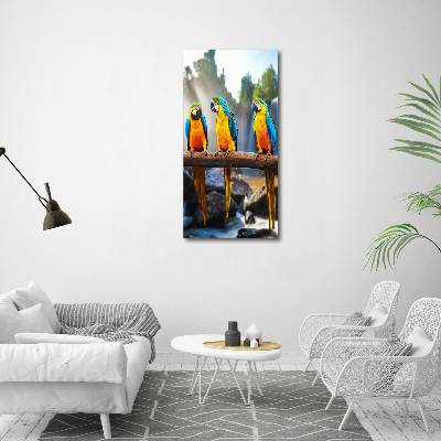 Print pe canvas papagali Macaws