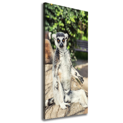 Tablou canvas Lemur