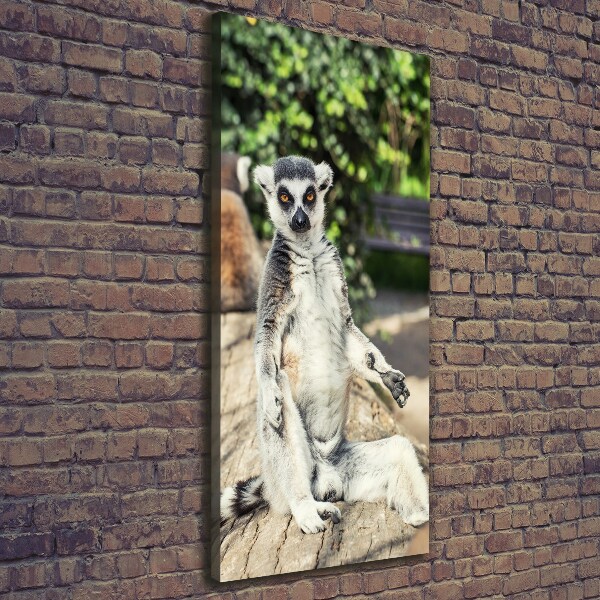 Tablou canvas Lemur