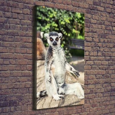 Tablou canvas Lemur