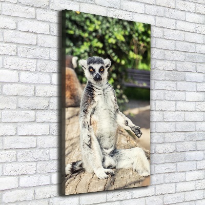 Tablou canvas Lemur