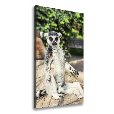 Tablou canvas Lemur