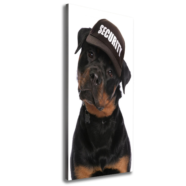 Imprimare tablou canvas Rottweiler într-un capac