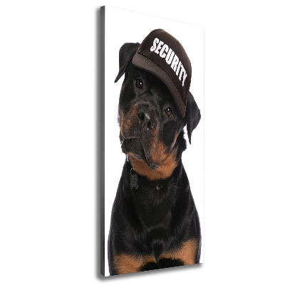 Imprimare tablou canvas Rottweiler într-un capac