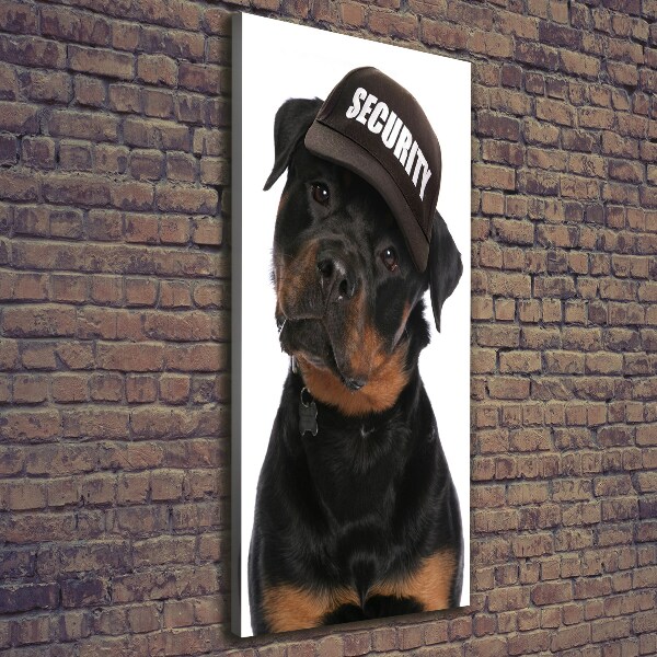 Imprimare tablou canvas Rottweiler într-un capac