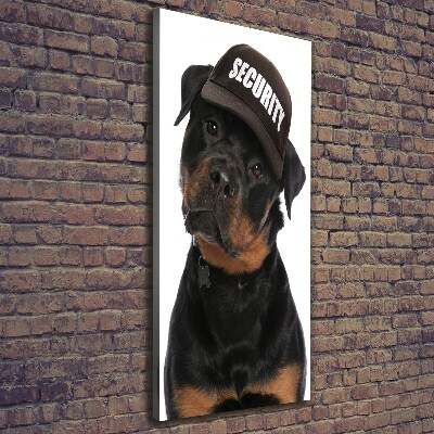 Imprimare tablou canvas Rottweiler într-un capac