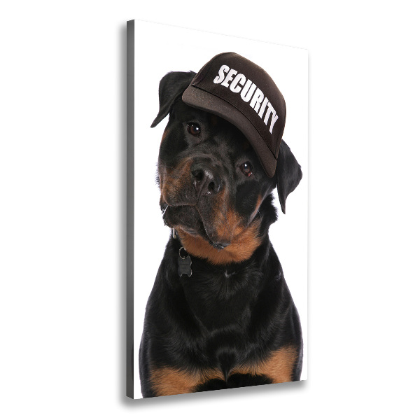 Imprimare tablou canvas Rottweiler într-un capac