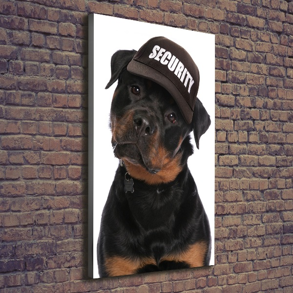 Imprimare tablou canvas Rottweiler într-un capac