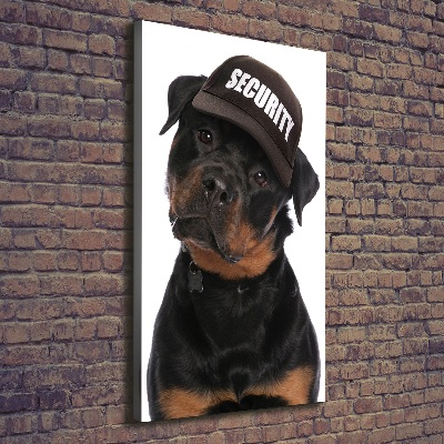 Imprimare tablou canvas Rottweiler într-un capac